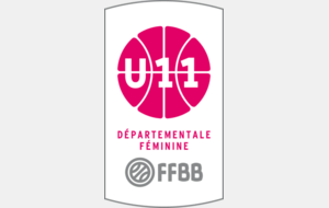 DFU11-2 : BCA - LA CHAPELLE ST LAURENT REBOND