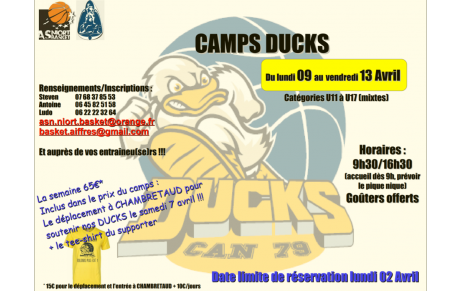 Camp Basket