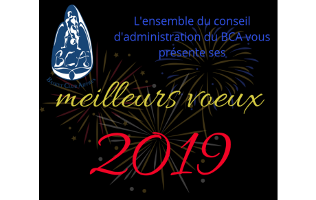 Voeux 2019