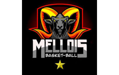 BASKET BALL MELLOIS