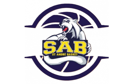 SAINT ANDRE BASKET