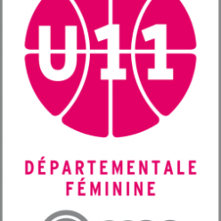 DFU11-2 : BCA - LA CHAPELLE ST LAURENT REBOND